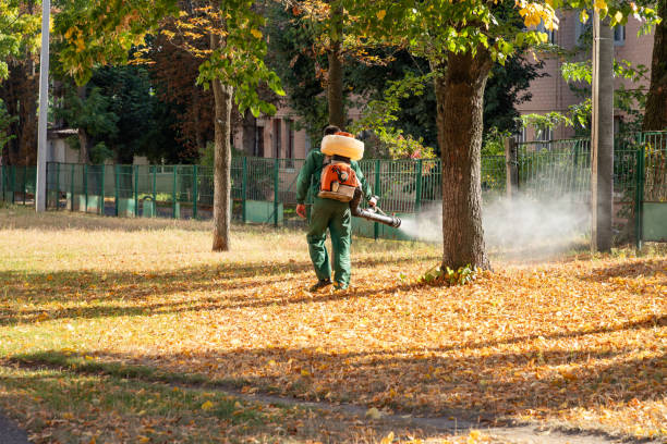 Bird Control in Fort Ashby, WV